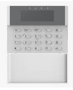 Imagen principal del articulo